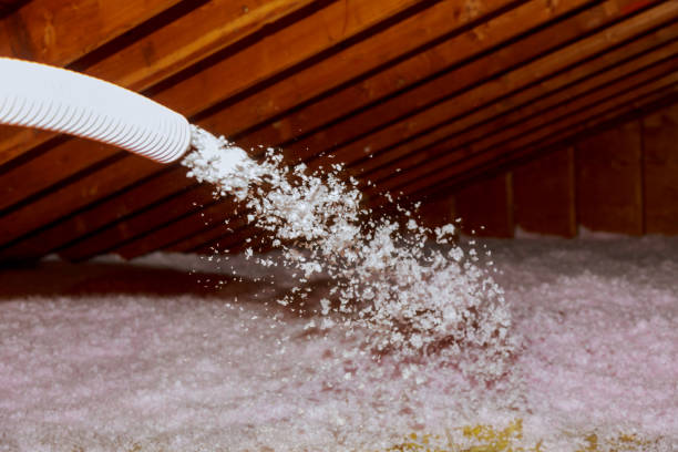 Best Insulation Removal Services  in USA